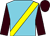 Light Blue, Yellow sash, Brown sleeves ()