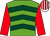 Light Green, Dark Green chevrons, Red sleeves, White and Red striped cap (Mr Andrew Sayer)
