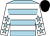 Light blue, white hoops, white sleeves, light blue stars, black cap (Mr T Gould)