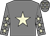 Grey, beige star, grey sleeves, beige stars and stars on cap (Dr Marwan Koukash)