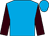 Turquoise blue, brown sleeves (Mr I A Balding)