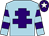 Light blue, purple cross of lorraine, hooped sleeves, purple cap, white star (Mr G Brogan)