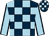 Dark blue & light blue check, light blue sleeves, dark blue seams, dark blue & light blue check cap (The Fox And Duck Syndicate)