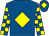 Royal blue, yellow diamond, checked sleeves, royal blue cap, yellow diamond (Pryde, Van Der Hoeven & Beaumont)