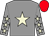Grey, beige star, grey sleeves, beige stars, red cap (The Maverick Racing Partnership)