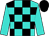 Turquoise and black check, turquoise sleeves, black cap (Mr Mark Goodridge)