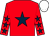 Red, dark blue star, red sleeves, dark blue stars, white cap (Annwell Inn Syndicate)