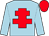 Light blue, red cross of lorraine, red cap (Golden Ratio, Hull, Hollings & Winter)