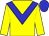 Yellow, blue chevron, yellow sleeves, blue cap (Dubai Japan Aibakai)