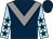 Dark blue, grey chevron, light blue sleeves, dark blue stars (Bgc Racing Xiv & Partner)