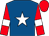 Royal blue, white star, red sleeves, white armlets, red cap (Mr Peter Easterby)