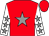 Red, grey star, white sleeves, grey stars (Mr Martin Smith And Mr Philip Brooks)