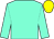 Aquamarine, yellow cap (Mr Mark A Leatham)