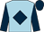 Light blue, dark blue diamond, sleeves and cap (Mr R W Stubbs)