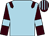 Light blue, brown epaulettes, brown sleeves, light blue armlet, striped cap (Mr Stephen Louch)