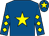 Royal blue, yellow star, diamonds on sleeves, royal blue cap, yellow star (Mystery Partnership)