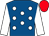 Royal blue, white spots and sleeves, red cap (Mr Robert Gibbons)