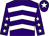 Purple, white chevrons, purple sleeves, white stars, purple cap, white star (Mr N J Roach & Mr G L Moore)
