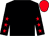 Black, red stars on sleeves, red cap (Red Cap Racing 1)