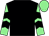 Black, light green and black chevrons on sleeves, light green cap (Mr D R Passant)